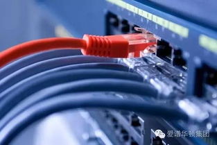 愛譜華頓彩色布線解決方案 助力信息系統(tǒng)高效運維